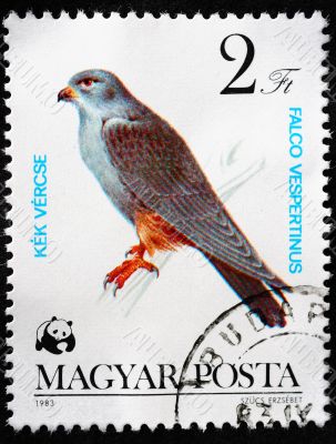 HUNGARY - CIRCA 1983: A Stamp printed in Hungary shows image of 