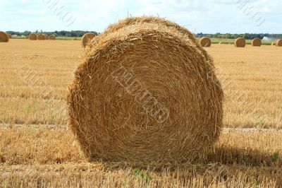 haystack