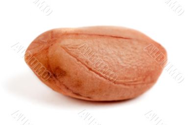 one raw peanut