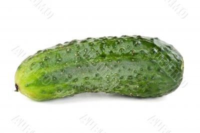 one ripe cucumber