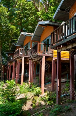 house in a tropical forest