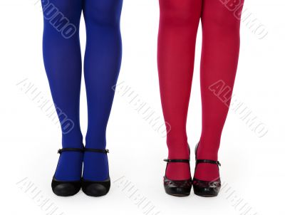 female legs in pantyhose