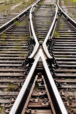 grass between on the railway