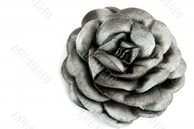 gray rose
