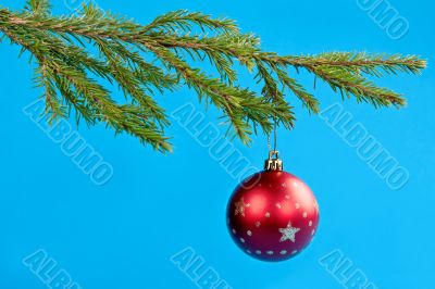 fir branches and Christmas ball