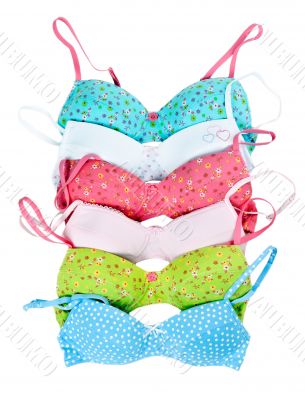 six color cotton bra 