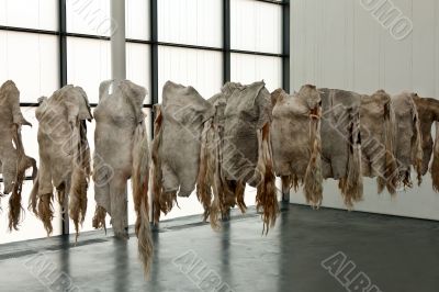 The exhibition at the Museum of Contemporary Art