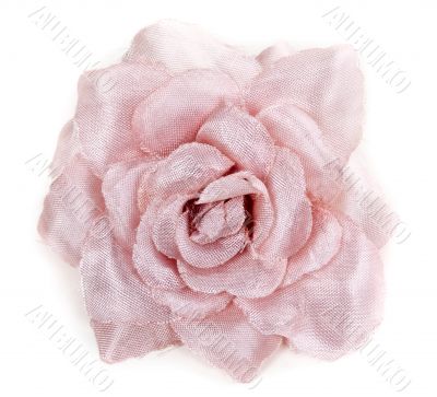 Rose flower from tissue