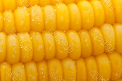 boiled corn with salt closeup