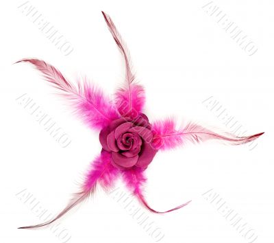 Pink rose fabric with feathers
