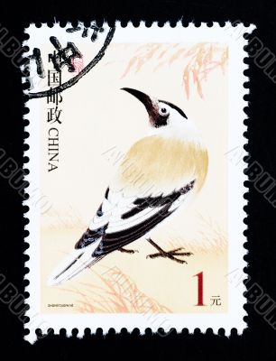 CHINA - CIRCA 2002: A Stamp printed in China shows image of a wild bird, circa 2002