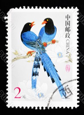 CHINA - CIRCA 2002: A Stamp printed in China shows image of two blue birds, circa 2002 CHINA - CIRCA 2002: A Stamp printed in China shows image of two blue birds, circa 2002