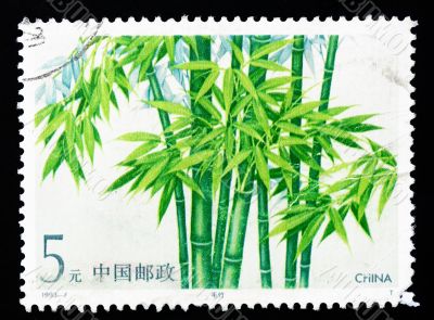 CHINA - CIRCA 1993: A Stamp printed in China shows Mao Bamboo, circa 1993