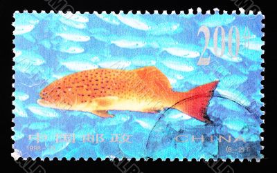 CHINA - CIRCA 1998: A Stamp printed in China shows coral reef fish , circa 1998