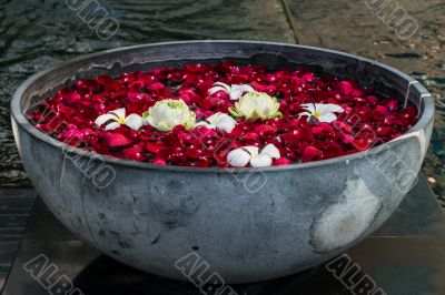Rose petals in the vase