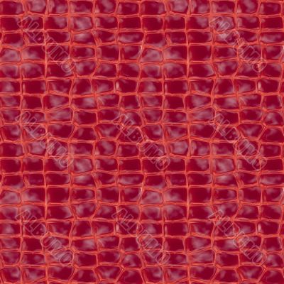 Crocodile skin Crocodile skin