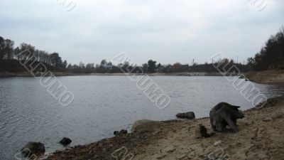 Landscape with the river and snag