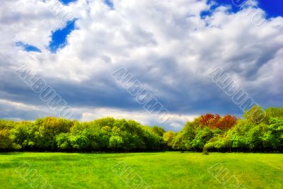 cloudy sky over the green forest