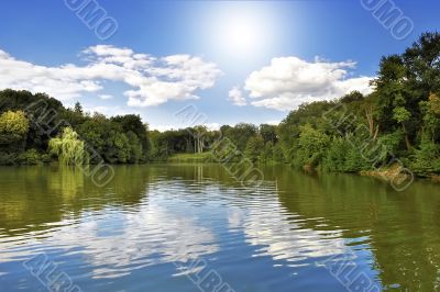 Lake in the forest