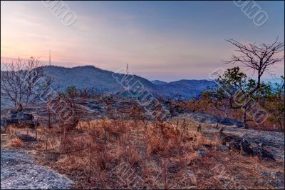 Apes on the mountain at sunset