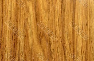 Wooden background texture