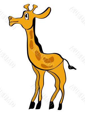 giraffe in simple cartoon style