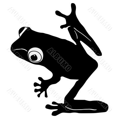 silhouette of tree frog