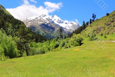 Caucasus mountains Dombai