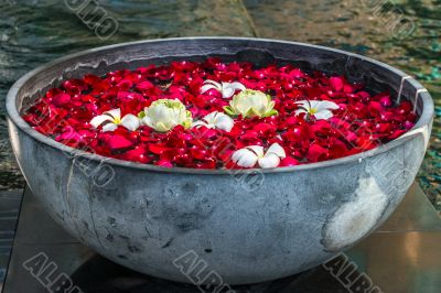 Rose petals, lotos ans plumeria flowers in the bowl