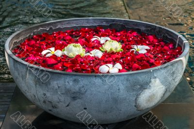 Rose petals, lotos and plumeria flowers in the bowl