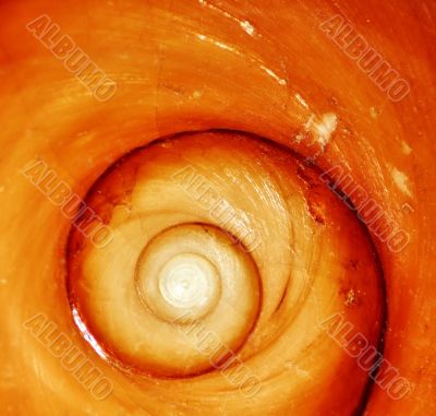 Spiral on the maroon stone
