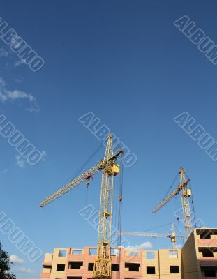 Cranes
