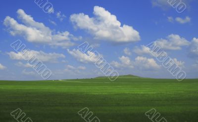 Green field and blue sky and white clouds