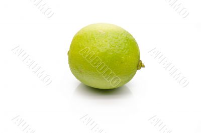 Juicy lime on a white background