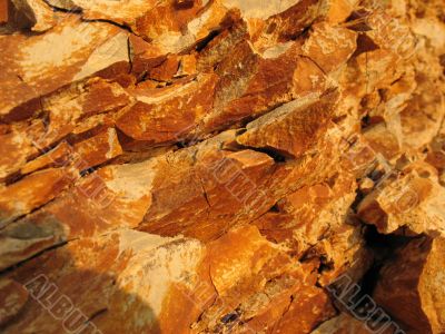 Tectonic cross-section