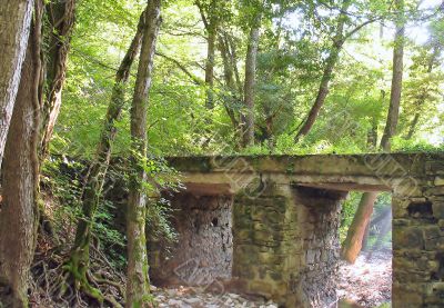 Bridge in a mountain forest