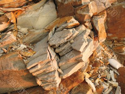 Tectonic cross-section