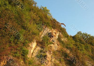 Steep rocky cliff