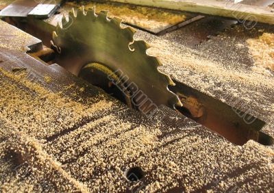 Sawing machine for wood processing