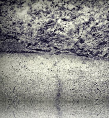 Some eggs in his luggage