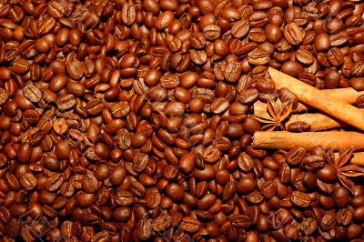 coffee beans 