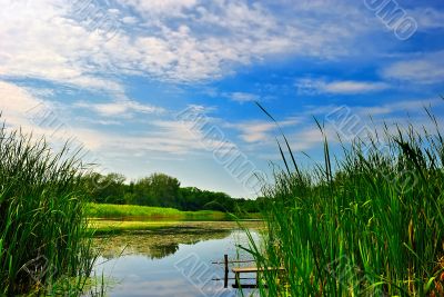 Lake with reeds under blue cloudy sky