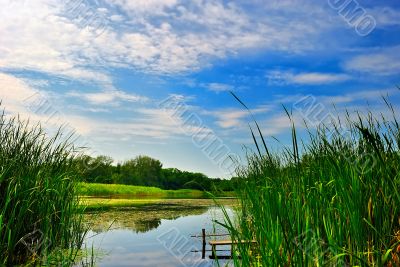 Lake with reeds under blue cloudy sky Lake with reeds under blue cloudy sky