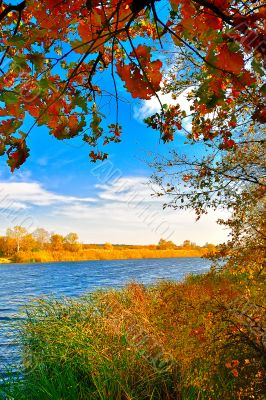 Autumn at the lake