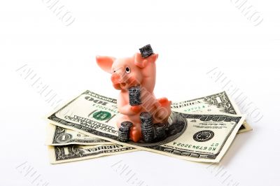 pig with coins and money