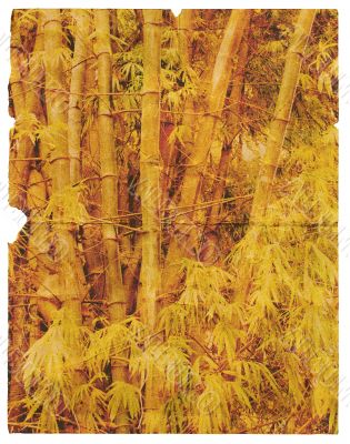 Old, torn piece of paper with the texture of bamboo. Isolated 