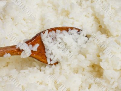 Rice Rice
