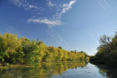 Autumn by river