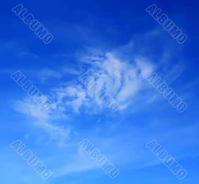 Image of summer fluffy sky