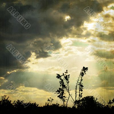 vintage background with plant and cloud. 